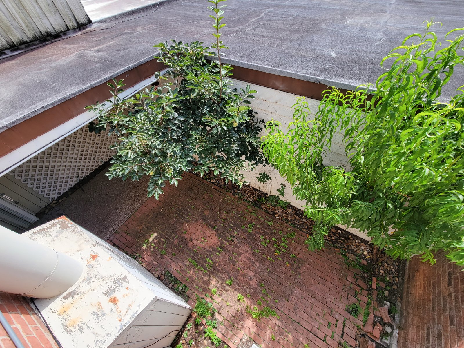 3 Bed Townhome for Rent in Houston TX 77098 – Upper Kirby property image