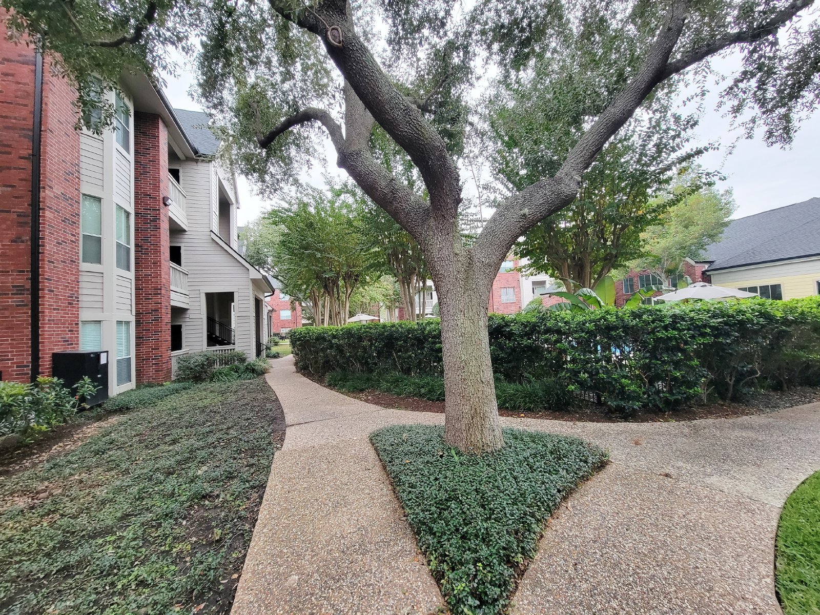2 Bed Condo for Rent in Houston TX 77054 Near Medical Center + METRORail property image